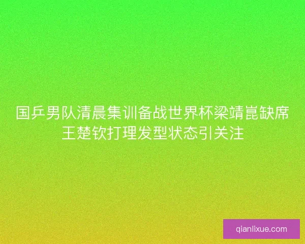 国乒男队清晨集训备战世界杯梁靖崑缺席王楚钦打理发型状态引关注