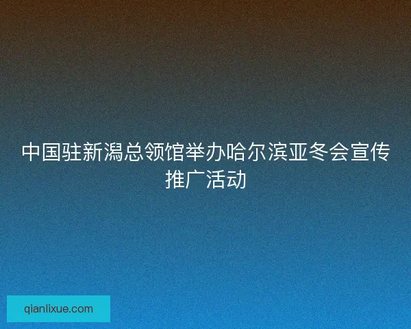 中国驻新潟总领馆举办哈尔滨亚冬会宣传推广活动